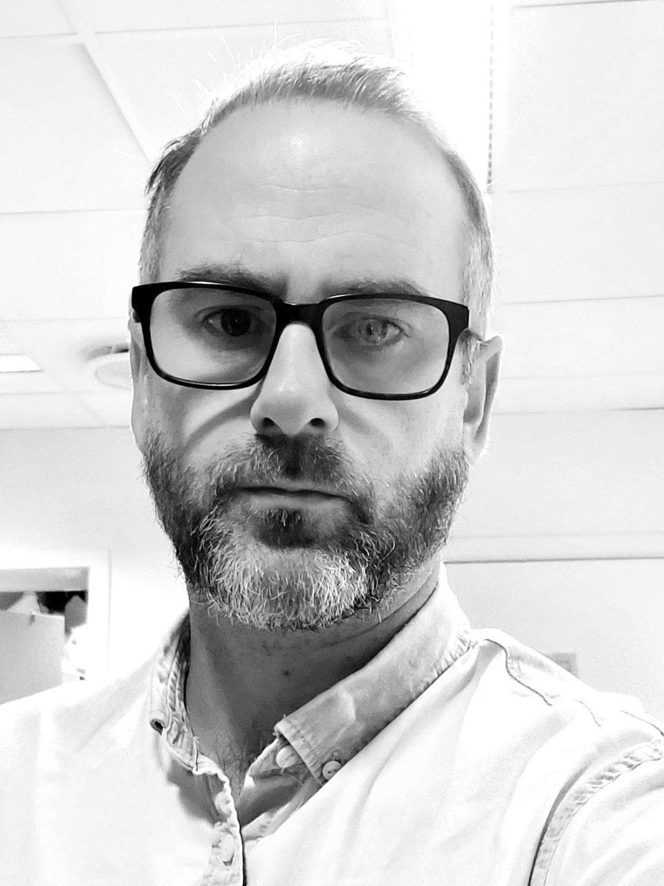 Terje Engesveen